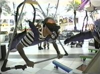 Virtual flying with a virtual hang glider